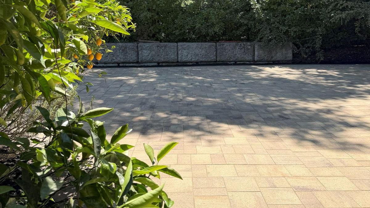 Spacious paver courtyard with a low stone wall and citrus branches in the foreground