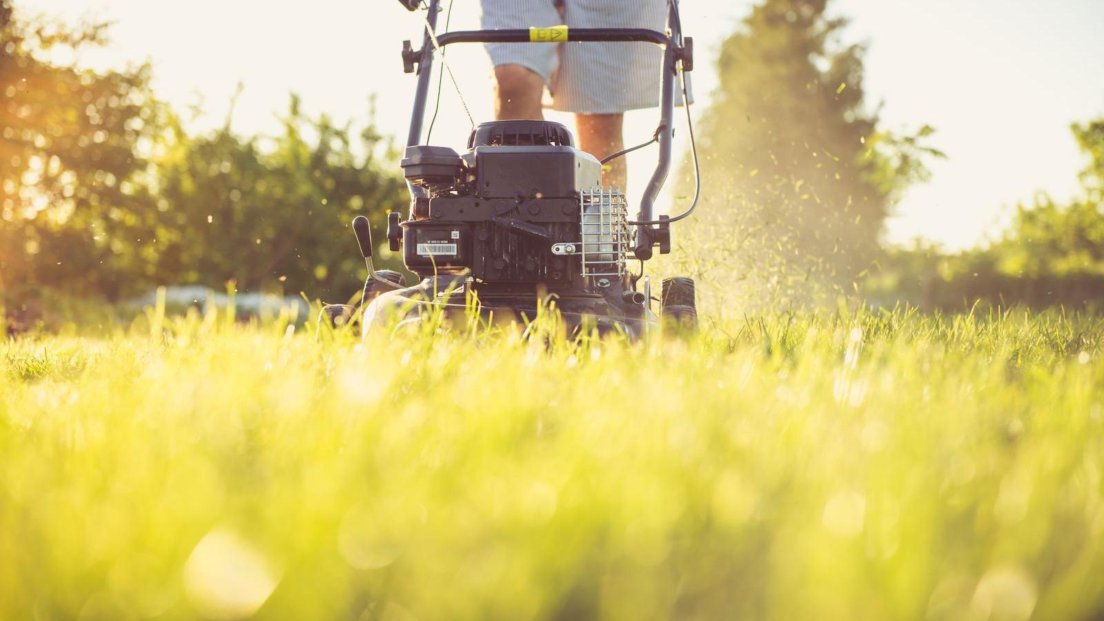 Homeowner mowing a natural grass lawn in afternoon sun
