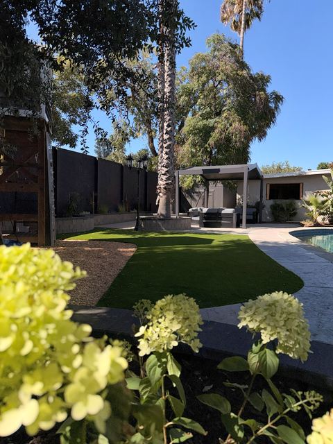 Artificial turf lawn and patio with the pergola lounge in the distance, hydrangeas in the foreground