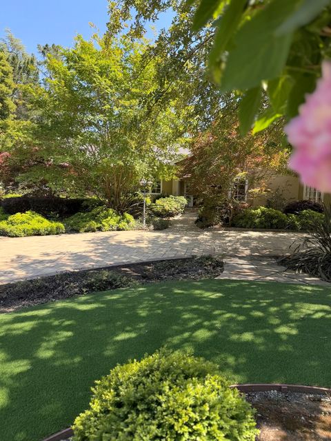 Artificial turf lawn beside a curved paver driveway, with the house and trees behind