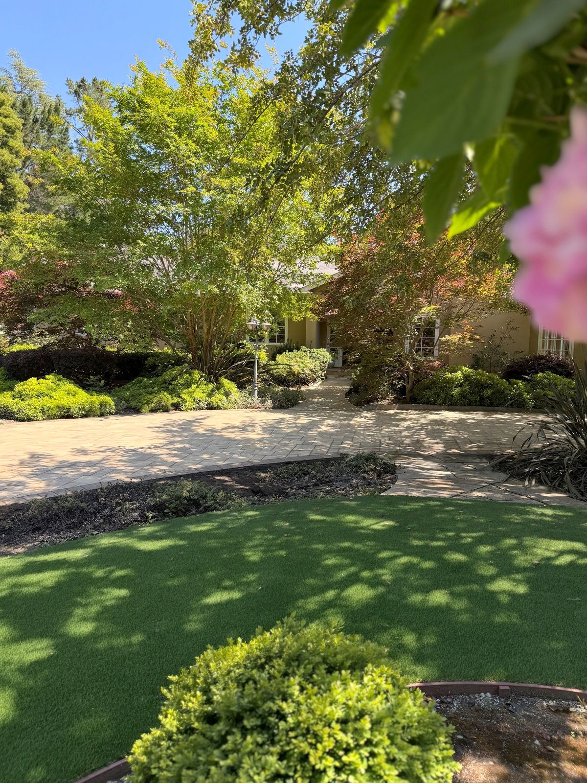 Artificial turf lawn beside a curved paver driveway, with the house and trees behind