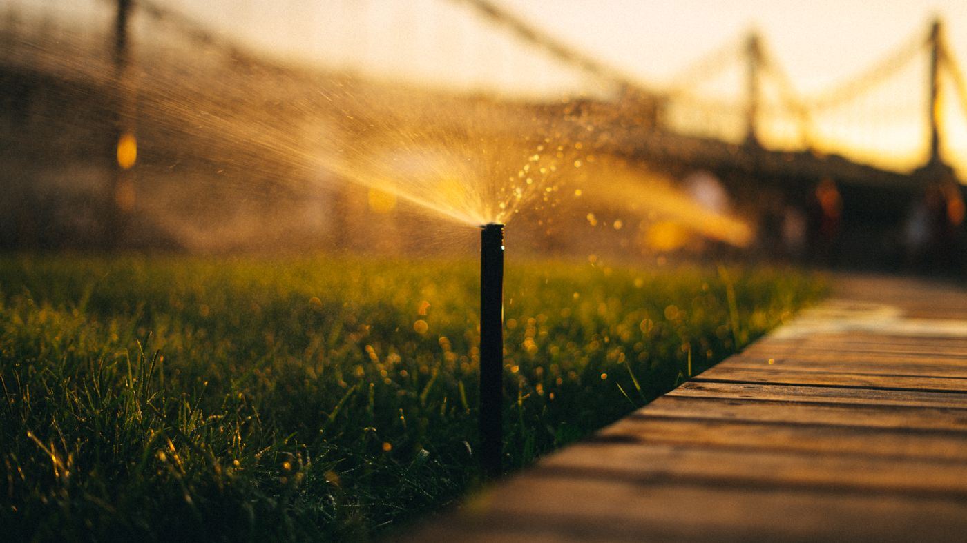 Pop-up sprinkler head spraying a lawn beside a walkway at sunset